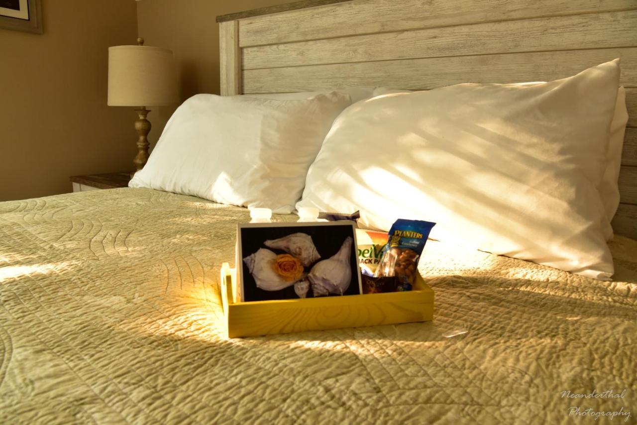 The Yellow Rose Of Talbot Bed And Breakfast Істон Екстер'єр фото